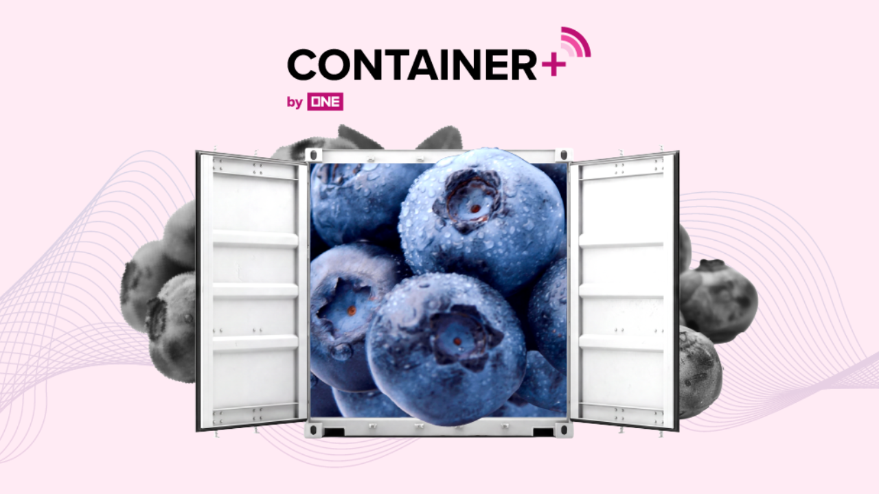 Fresh blueberries delivered in ONE reefer container